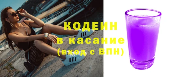 индика Краснотурьинск
