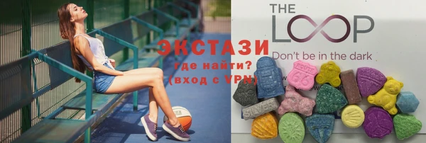 индика Краснотурьинск