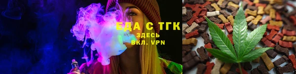 индика Краснотурьинск
