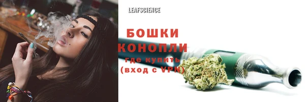 индика Краснотурьинск