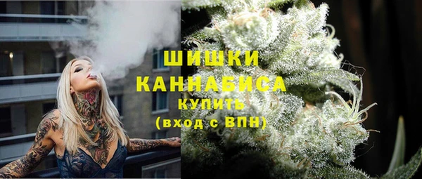 индика Краснотурьинск
