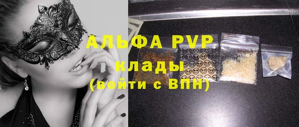 индика Краснотурьинск
