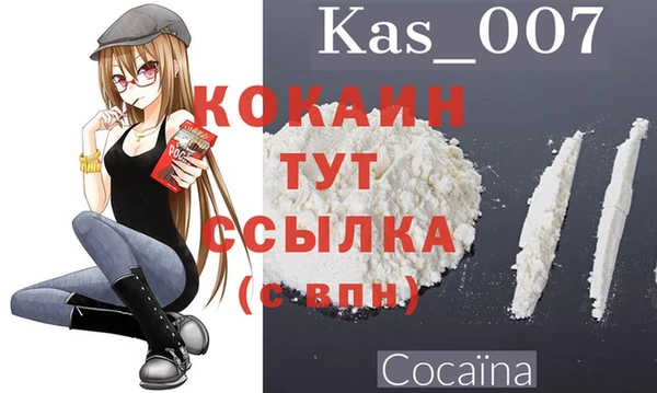 индика Краснотурьинск