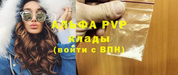 индика Краснотурьинск