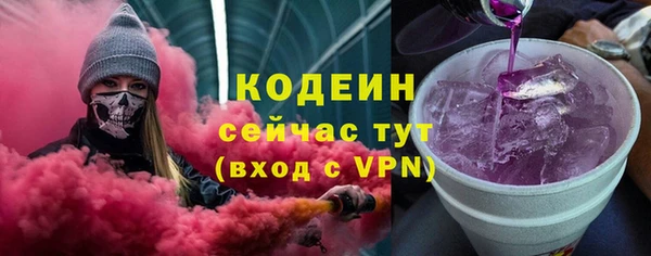 индика Краснотурьинск