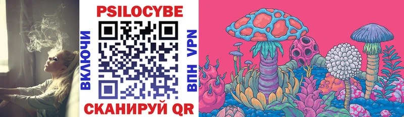 Купить  Искитим  Галлюциногенные грибы мицелий 